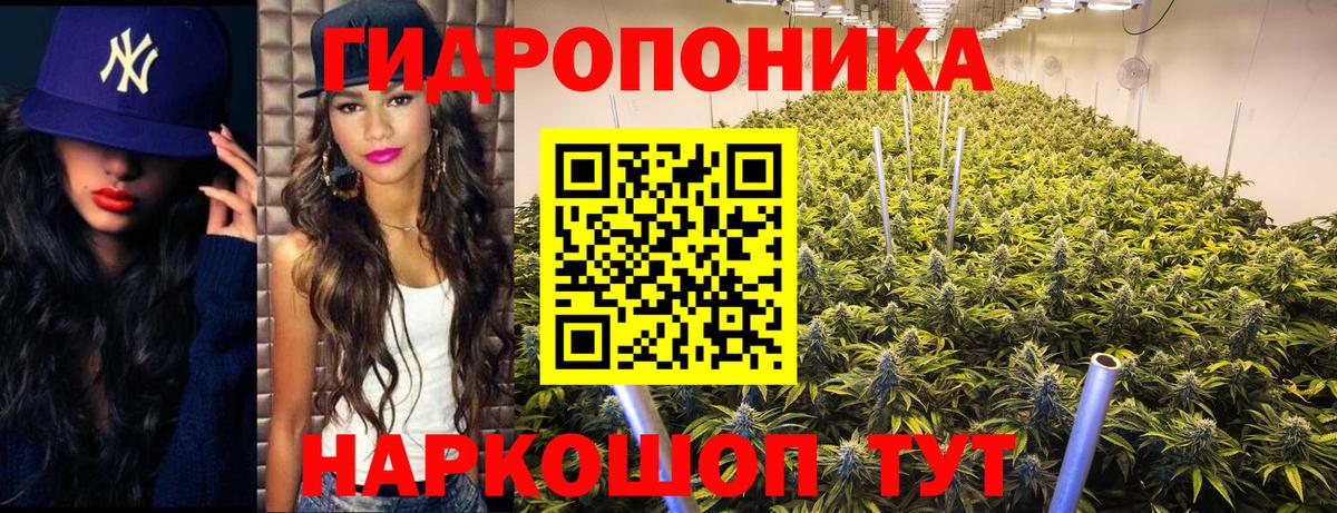 Канабис план Лыткарино